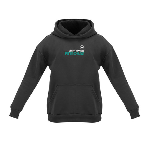 هودی مردانه مدل فرمول یک R12